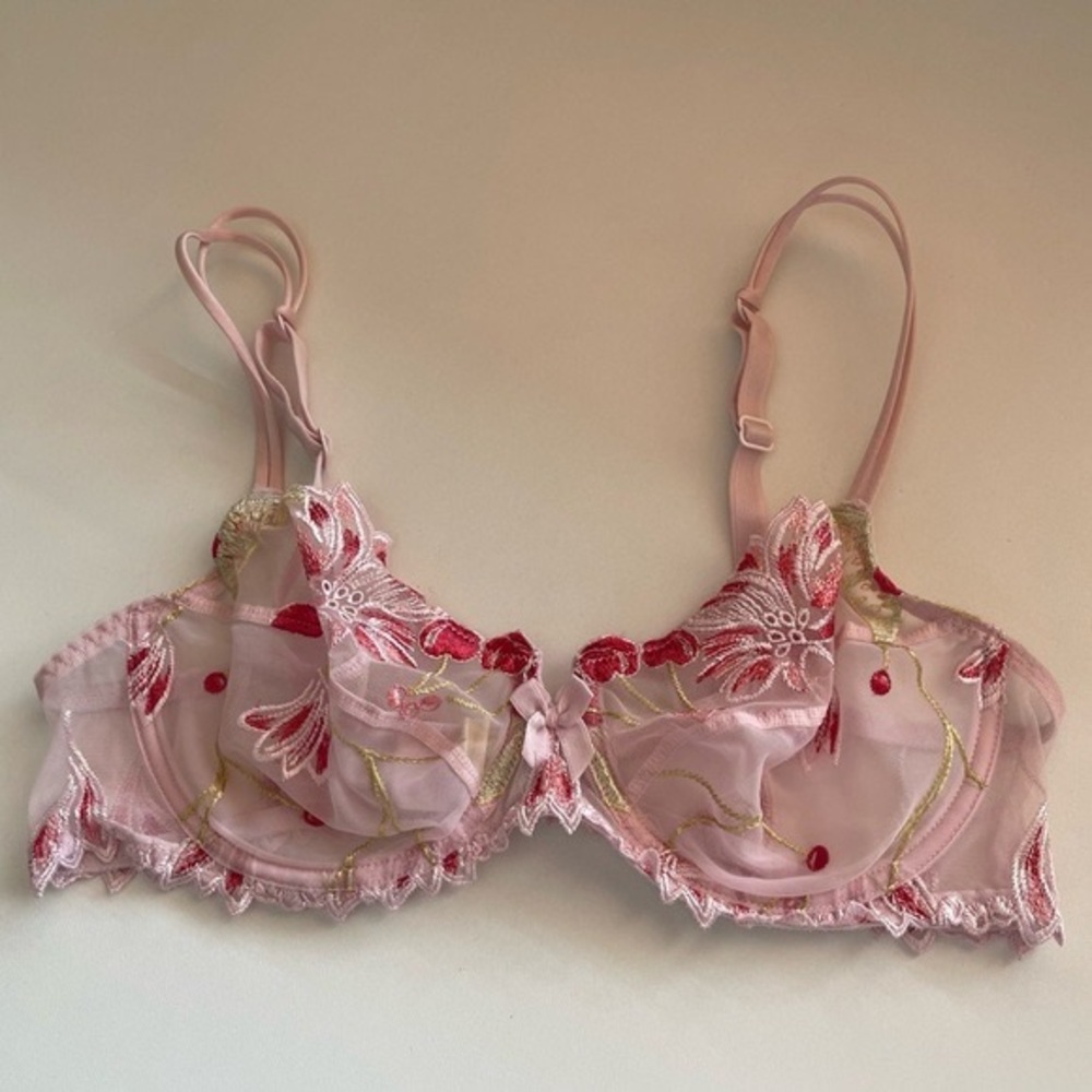 SIMONE PERELE LINGERIE Pink Bra with Embroidered Floral and Cherries Detail 34C